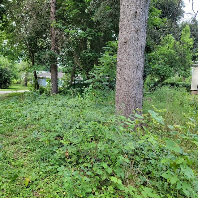 25578 W High St W, Wauconda, IL 60084 - photo 2
