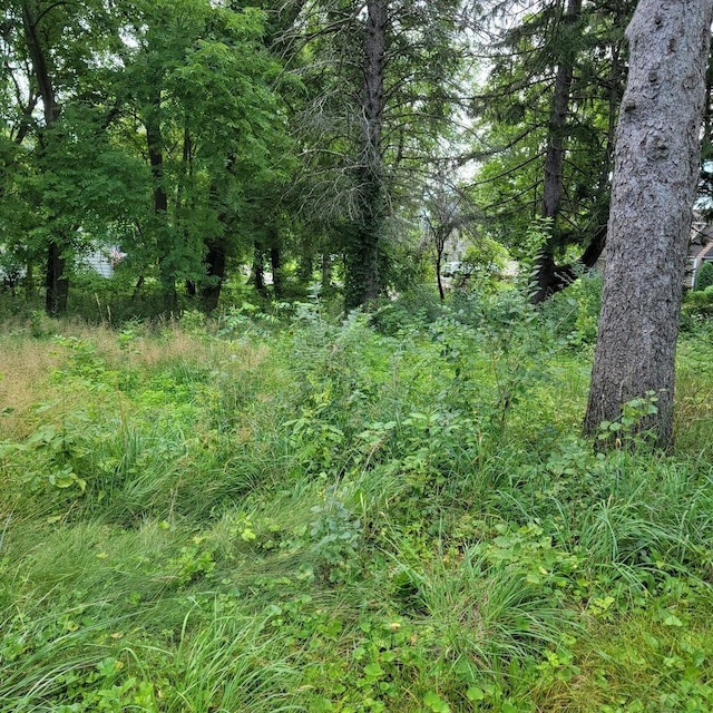 25578 W High St W, Wauconda, IL 60084 - photo 3