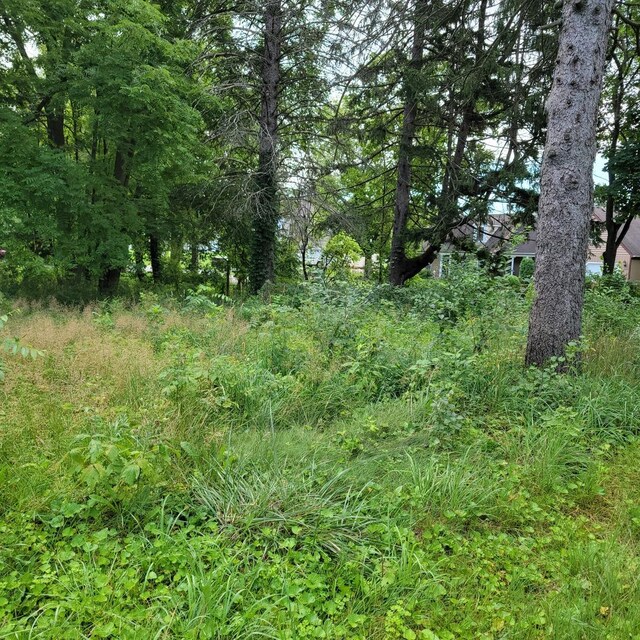25578 W High St W, Wauconda, IL 60084 - photo 4