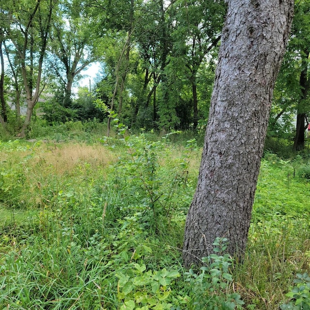 25578 W High St W, Wauconda, IL 60084 - photo 6