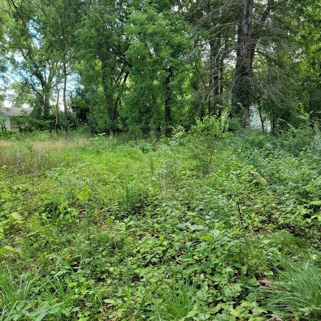 25578 W High St W, Wauconda, IL 60084 - photo 9