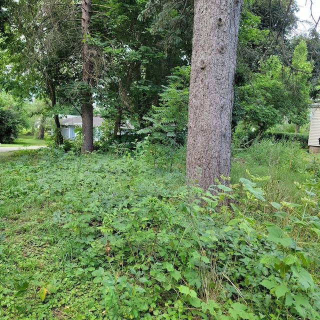 25586 W High St W, Wauconda, IL 60084 - photo 3