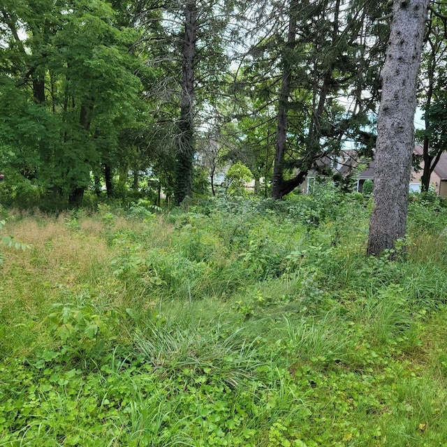 25586 W High St W, Wauconda, IL 60084 - photo 4