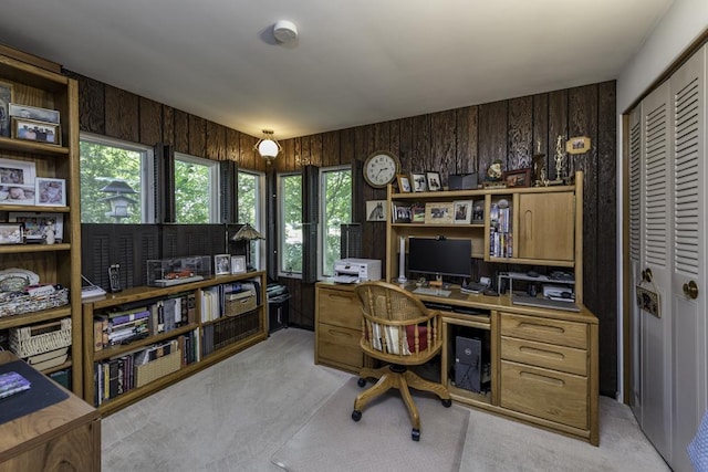 1810 5th St, Winthrop Harbor, IL 60096 - photo 16