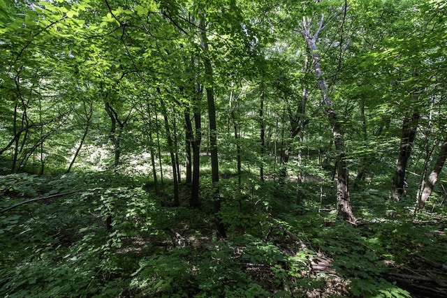 1810 5th St, Winthrop Harbor, IL 60096 - photo 39