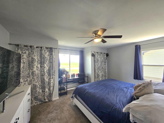 309 S Third St, Ashkum, IL 60911 - photo 18