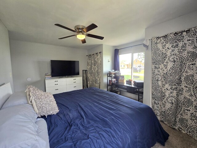 309 S Third St, Ashkum, IL 60911 - photo 19