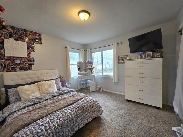 309 S Third St, Ashkum, IL 60911 - photo 20