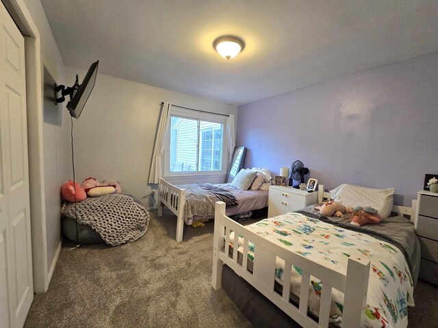 309 S Third St, Ashkum, IL 60911 - photo 22
