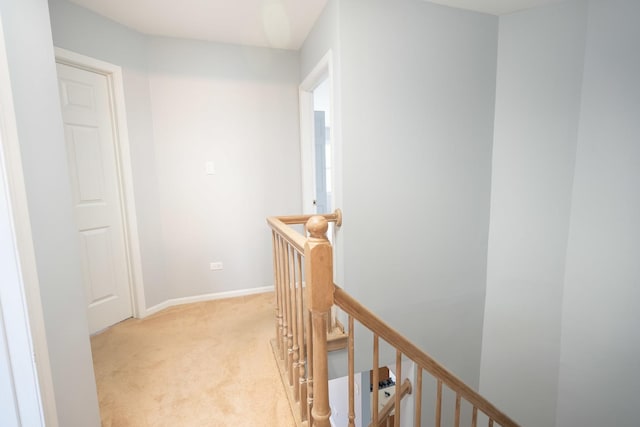 9939 Constitution Ct, Orland Park, IL 60462 - photo 18