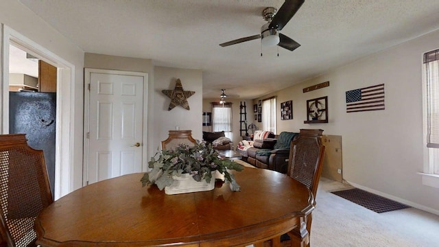 319 S Railroad Ave, Paxton, IL 60957 - photo 11