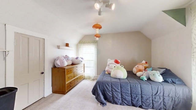319 S Railroad Ave, Paxton, IL 60957 - photo 30