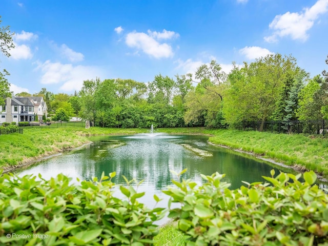 63 W Kennedy Ln, Hinsdale, IL 60521 - photo 26