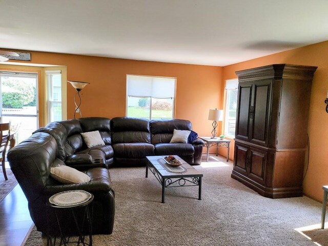 156 Sycamore Dr, Bolingbrook, IL 60490 - photo 11