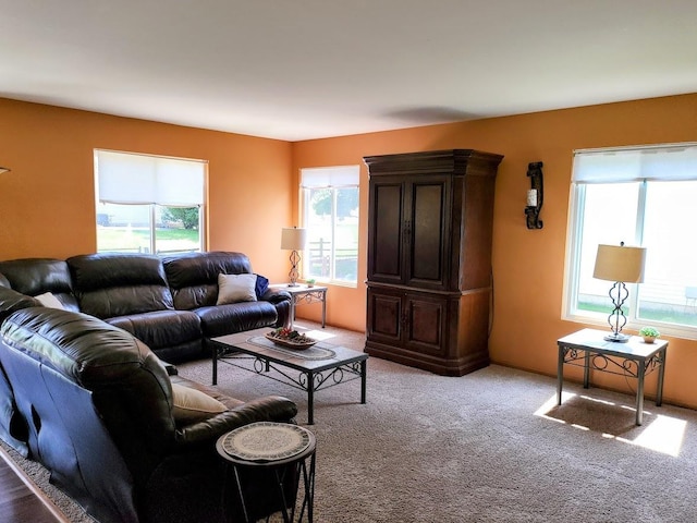 156 Sycamore Dr, Bolingbrook, IL 60490 - photo 12