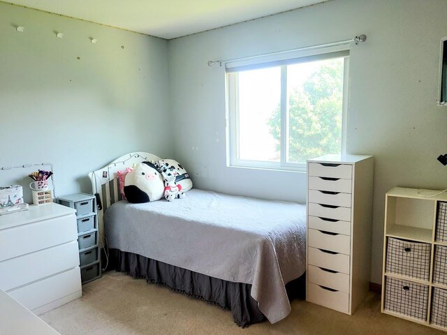 156 Sycamore Dr, Bolingbrook, IL 60490 - photo 21