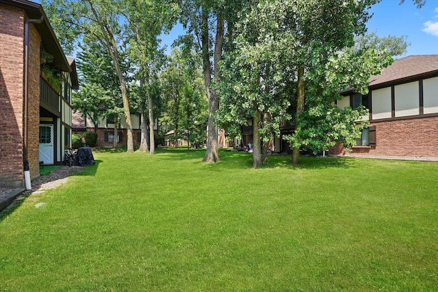 11241 S Cherry Ct Unit 56B, Palos Hills, IL 60465 - photo 24