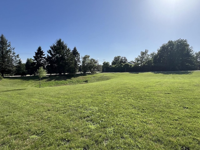 2977 Constance Ln, Marengo, IL 60152 - photo 9