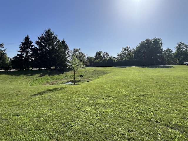 2977 Constance Ln, Marengo, IL 60152 - photo 10