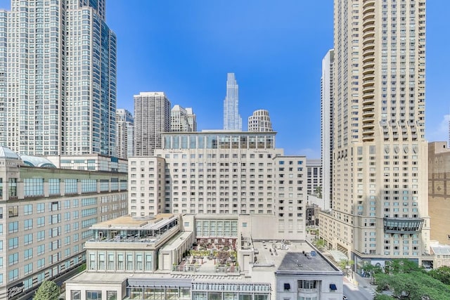 777 N Michigan Ave Unit 1707, Chicago, IL 60611 - photo 20