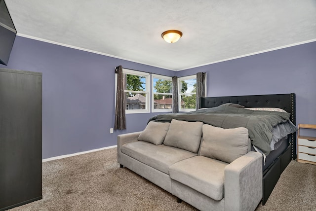 1109 Grant St, Morris, IL 60450 - photo 11