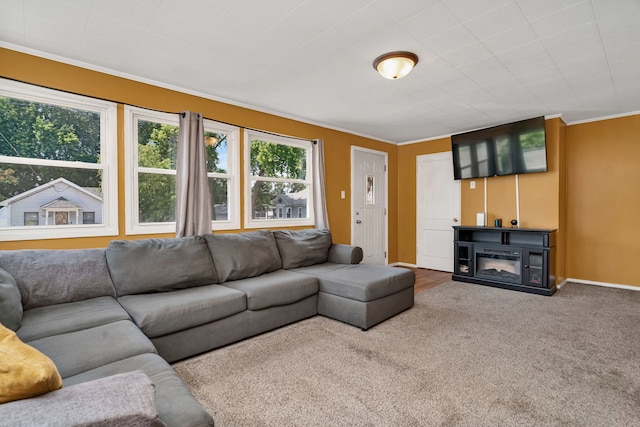 1109 Grant St, Morris, IL 60450 - photo 4