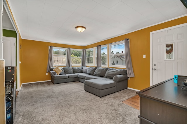 1109 Grant St, Morris, IL 60450 - photo 5