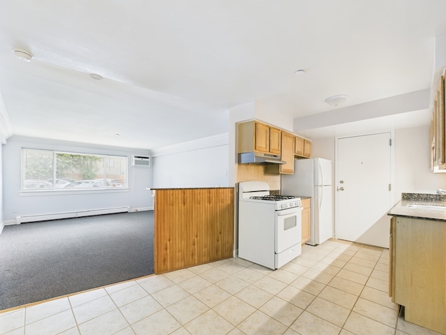 8810 Briar Crse Unit 1B, Des Plaines, IL 60016 - photo 7
