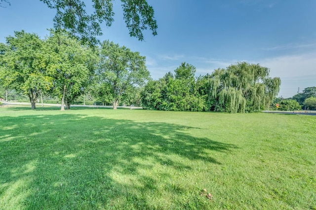 5N540 Central Rd, Itasca, IL 60143 - photo 7