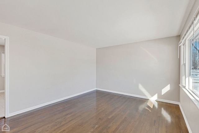 15666 Woodlawn E Ave, South Holland, IL 60473 - photo 7