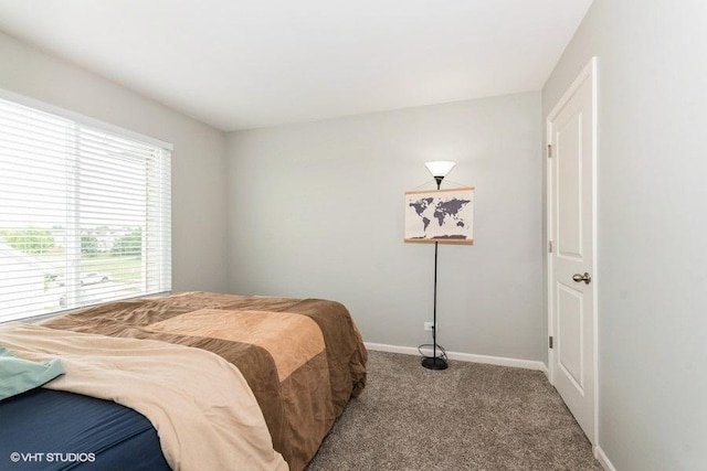 594 Spring Leaf Dr, Joliet, IL 60431 - photo 7