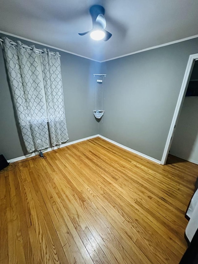 4633 Rose St, Schiller Park, IL 60176 - photo 13