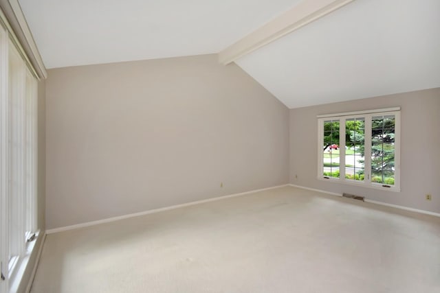 119 Hammitt Dr, Normal, IL 61761 - photo 53