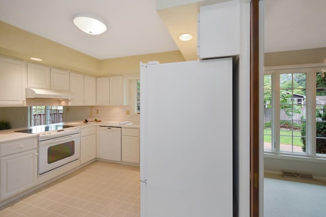 119 Hammitt Dr, Normal, IL 61761 - photo 70