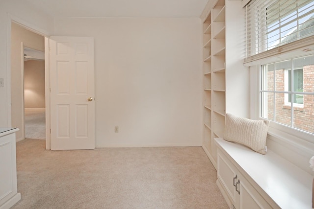 119 Hammitt Dr, Normal, IL 61761 - photo 97