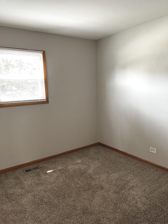 16101 Debra Dr, Oak Forest, IL 60452 - photo 11