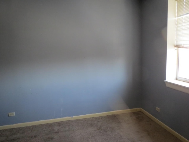 1450 Plymouth Ln Unit 509, Elgin, IL 60123 - photo 14