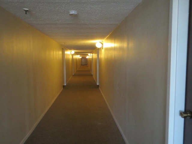 1450 Plymouth Ln Unit 509, Elgin, IL 60123 - photo 4