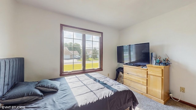 13063 Glencree Ln, Rockton, IL 61072 - photo 22