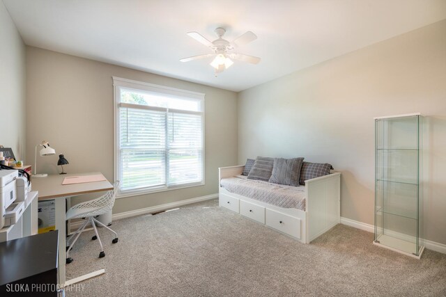 449 Quinlan Ave, Dekalb, IL 60115 - photo 22