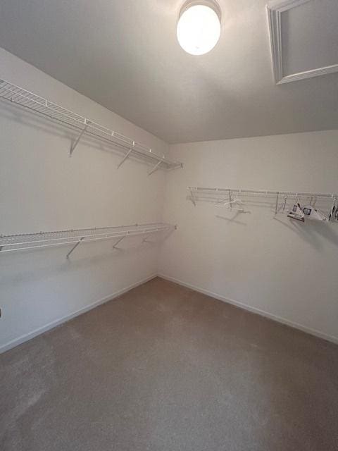 174 Brompton Ln Unit A, Sugar Grove, IL 60554 - photo 25