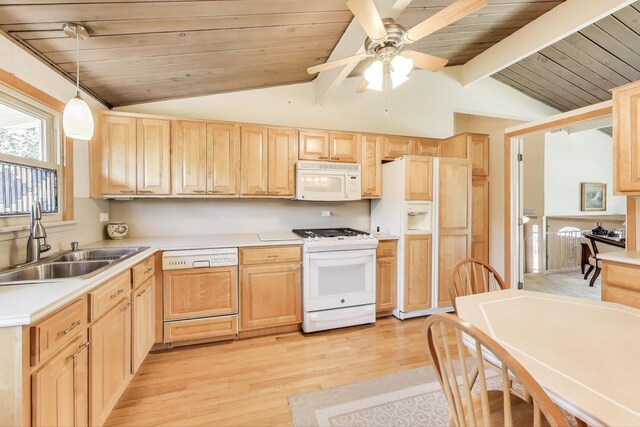 294 Lynn Ct, Des Plaines, IL 60016 - photo 15
