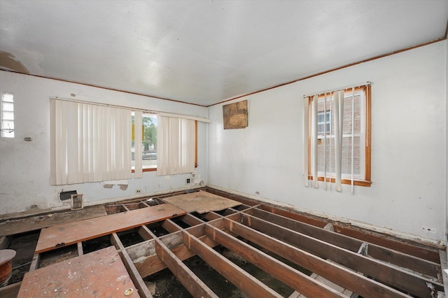 8742 S Washtenaw Ave, Evergreen Park, IL 60805 - photo 6