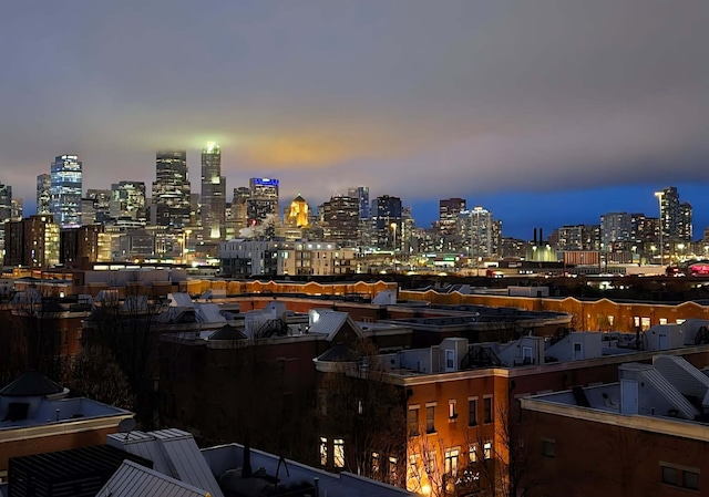 833 W 15th Pl Unit 606W, Chicago, IL 60608 - photo 43