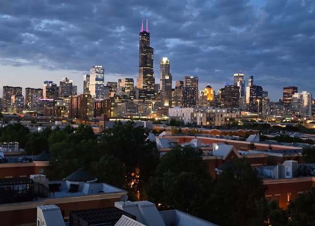 833 W 15th Pl Unit 606W, Chicago, IL 60608 - photo 44