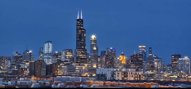 833 W 15th Pl Unit 606W, Chicago, IL 60608 - photo 45