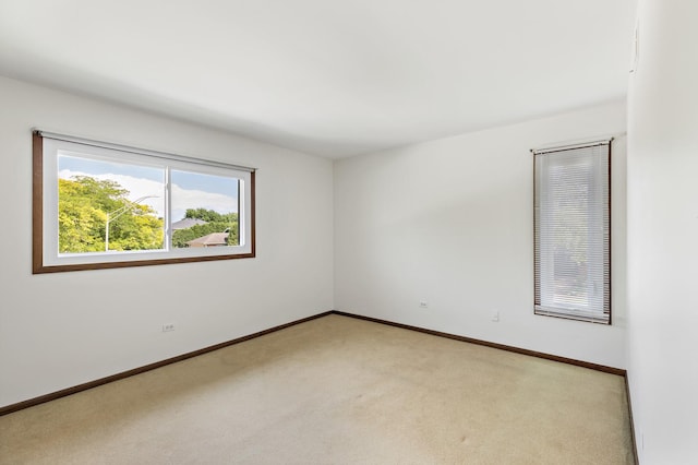 14124 Bonbury Ln, Orland Park, IL 60462 - photo 20