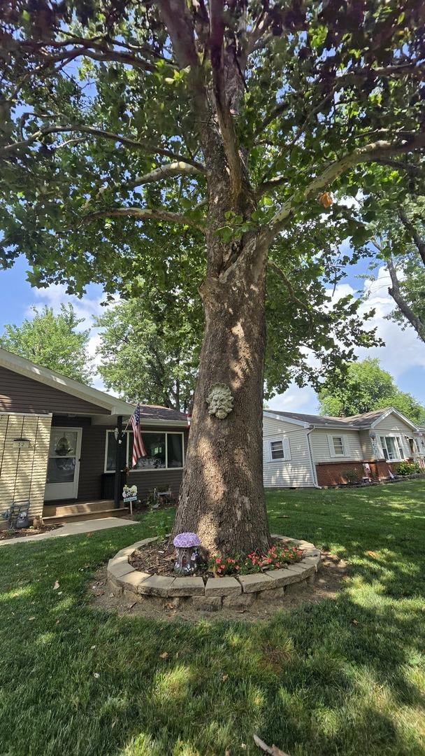 12 Durell Dr, Kankakee, IL 60901 - photo 51