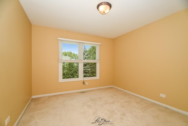 3172 Secretariat Dr, Aurora, IL 60502 - photo 23