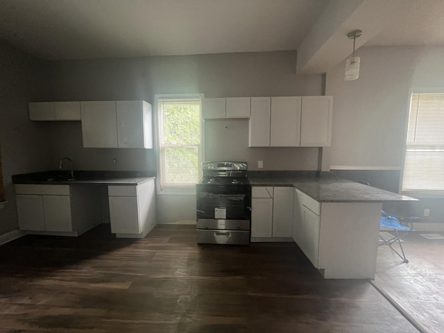 8135 S Muskegon Ave, Chicago, IL 60617 - photo 9